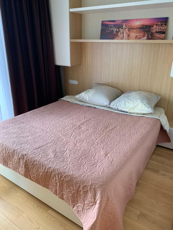 Comfortable Apartments French Quarter Акумулятори Світло Інтернет Завжди Kyiv Exterior photo